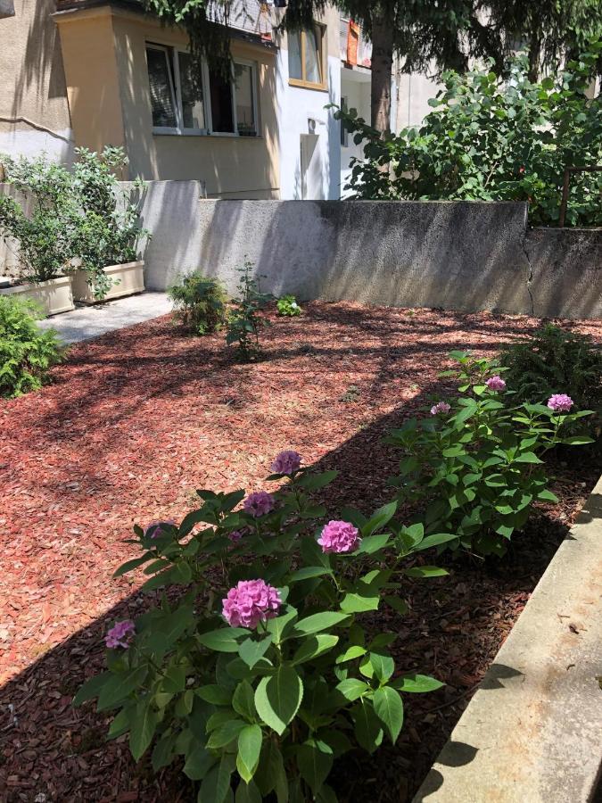 Rakuscha Apartment Zagreb Eksteriør bilde