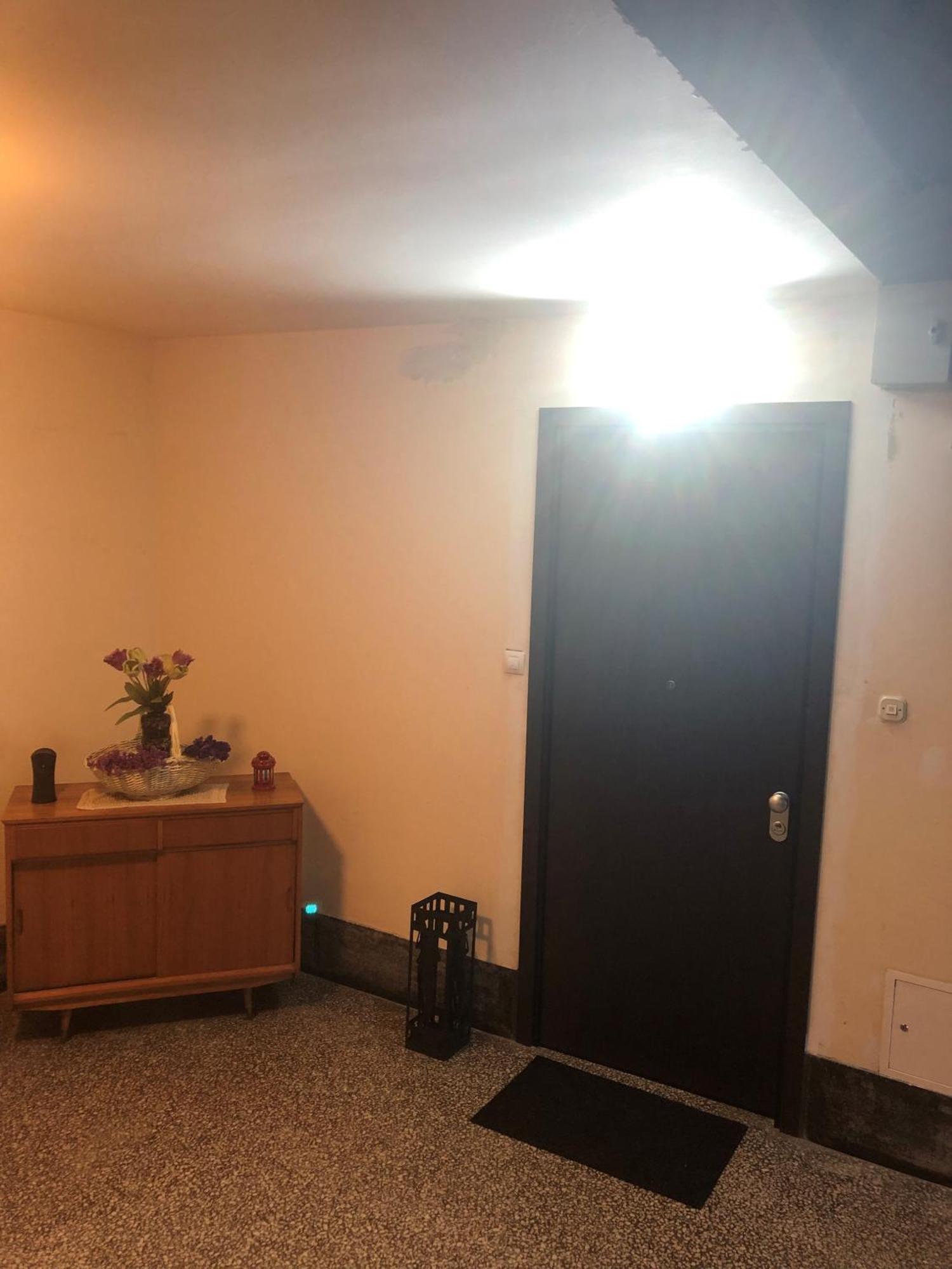 Rakuscha Apartment Zagreb Eksteriør bilde